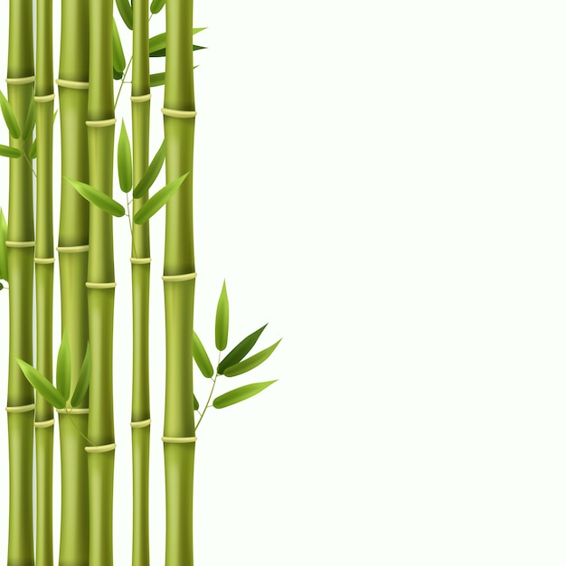 Grüne bambusregenwaldstammillustration