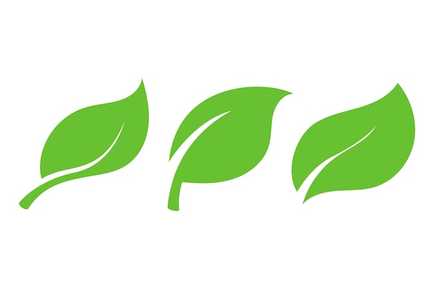 Grüne Blätter entstehen