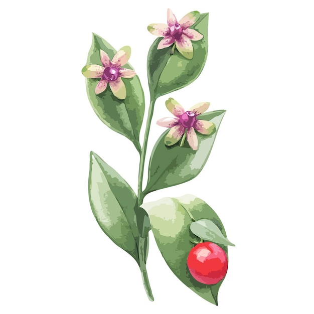 Grüne Blätter mit Blumen