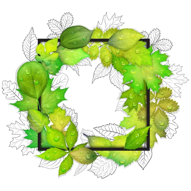 Grüne Blätter Rahmen auf weißem Hintergrund Vektor-Illustration