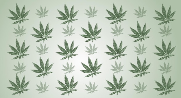 Grüne blätter von marihuana. cannabisblätter auf grünem hintergrund mit farbverlauf. platz kopieren,. vektor-illustration
