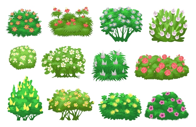 Grüne Gartenbüsche mit Blumen Dekorative Sommerpflanzen Karikaturblühende Sträucher Sträucherbäume Lebende natürliche Hecke Botanische Landschaftselemente Laubblätter Prächtige Vektorsatz