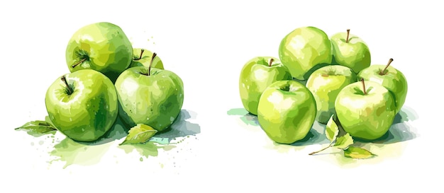 Grüne Äpfel Aquarell Malstil Illustration Vektor-Satz