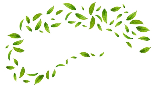 Grüne schwebende Blätter