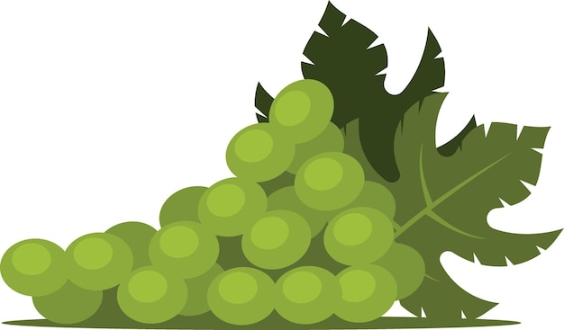 Grüne Trauben-Vektor-Clip-Art-Lebensmittel-Illustration