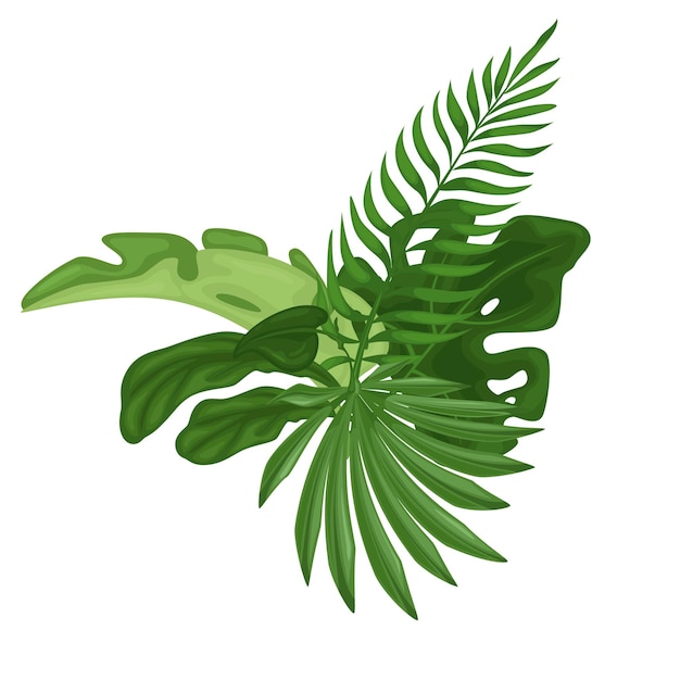 Grüne tropische Blätter