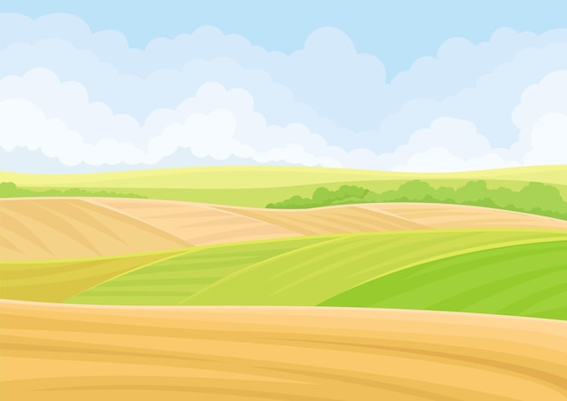 Grüne und gelbe Feldvektorillustration auf weißem Hintergrund