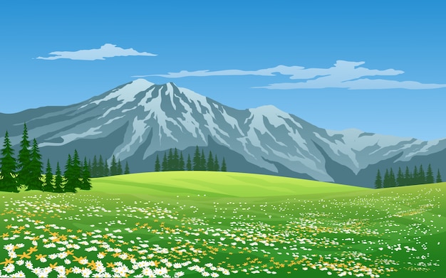 Grüne Wiese und Berg mit blauem Himmel