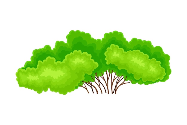 Vektor grüner busch oder sträucher mit blattkrone als vektorillustration des waldelements