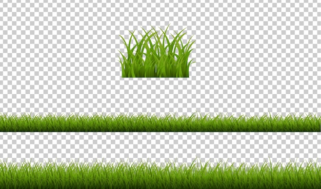 Grüner Gras-isolierter transparenter Hintergrund