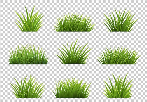 Grüner Gras-isolierter transparenter Hintergrund