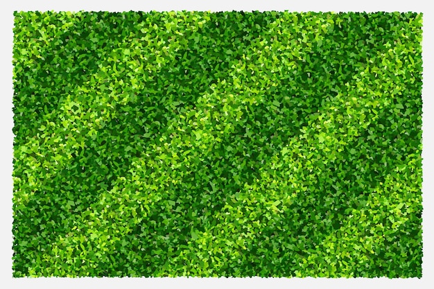 Grüner Grasfeldhintergrund für Sport und Erholung