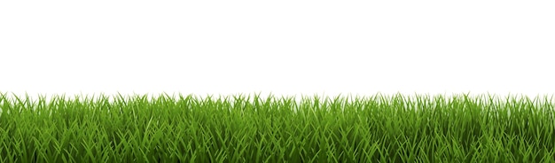 Grüner Grasrahmen isoliert und weißer Hintergrund
