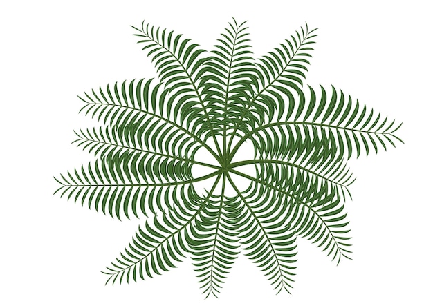 Vektor grüner palmbaumvektor tropisches palmblatt icon bildvektor illustrationsdesign schwarz-weiß