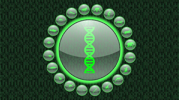 Grüner runder Knopf mit DNA-Symbol auf schwarzem Hintergrund Vektorillustration