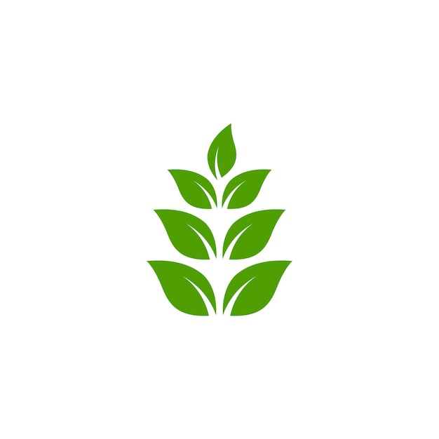 Grünes blatt logo symbol design vorlage vektor