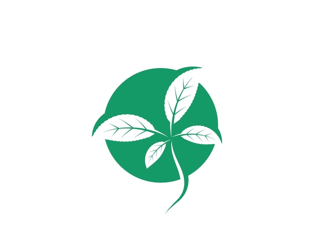 Grünes blatt ökologie natur element vektor-symbol von go green