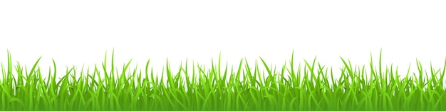 Grünes Gras auf weißem Hintergrund Panoramablick Vektor-Illustration