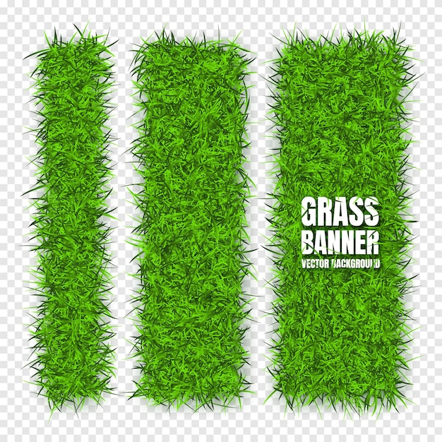 Grünes Gras Banner Hintergrund Feld Wiese Textur grasige Landschaft organisch bio eco und natürlich