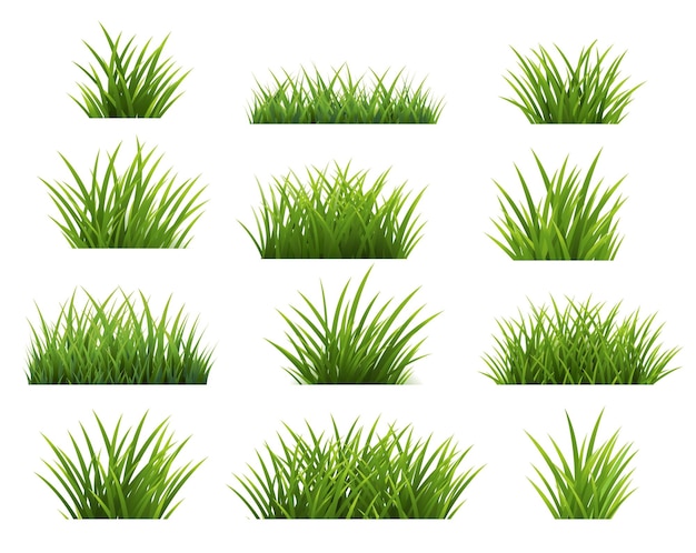 Grünes gras grenzt sammlung lokalisierter weißer hintergrund ein