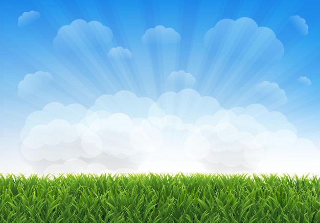 Grünes Gras mit blauem Himmel