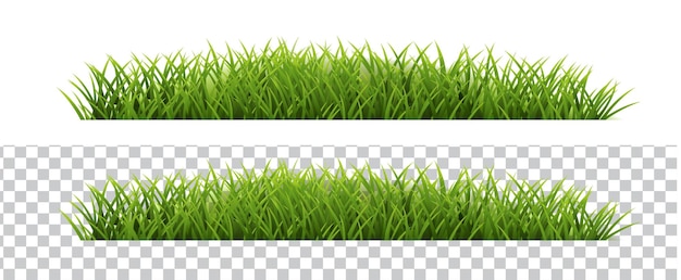 Grünes Gras mit weißem und durchsichtigem Hintergrund