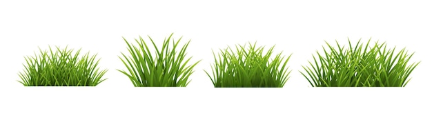 Grünes Gras Rand isolierter weißer Hintergrund