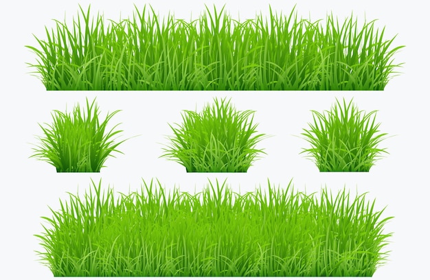 Grünes Gras-Rand-Set