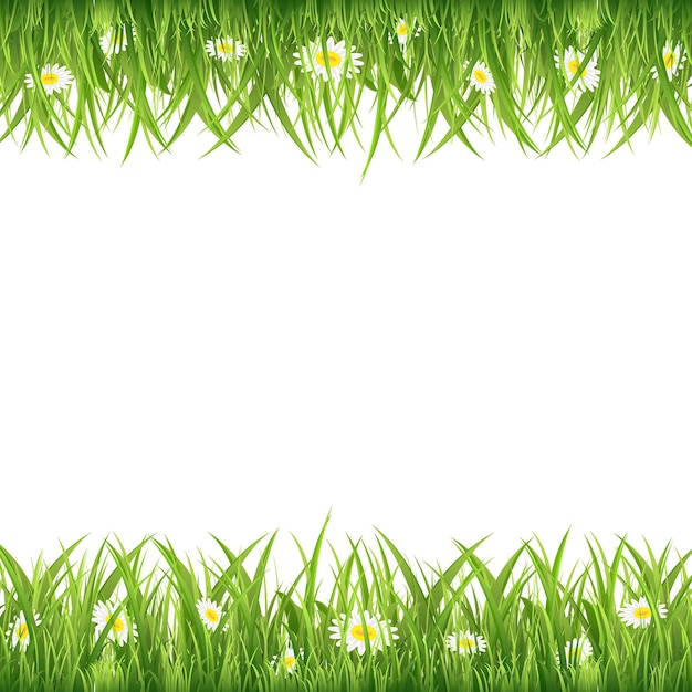 Grünes Gras und Blumen auf weißer Hintergrundillustration