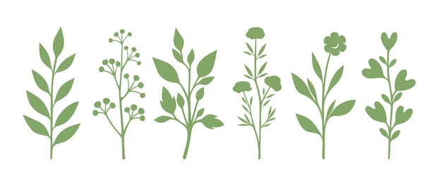 grünes Gras und Blumen Pflanzenzweige Silhouetten Pflanzensilhouetten setzen Flora Silhouette sammeln