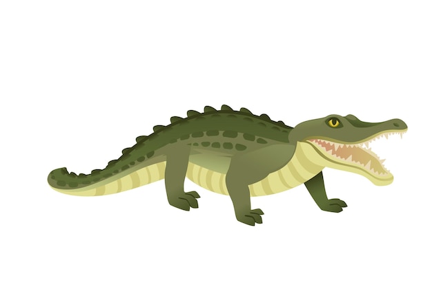 Vektor grünes krokodil charakter große fleischfresser reptil cartoon tierdesign flache vektorgrafiken isoliert auf weißem hintergrund