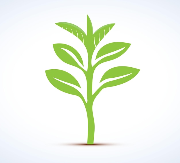 Grünes Öko-Baum-Logo