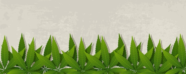 Grunge-Banner mit Cannabisblättern