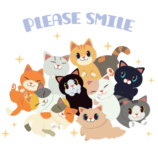 Gruppe nette katze und freunde mit text lächeln bitte auf weiß