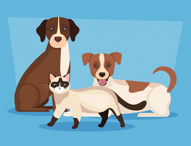 Gruppe von Hunden mit Katzenikonen