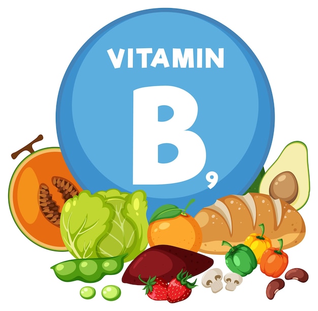 Vektor gruppe von lebensmitteln, obst und gemüse, die reich an vitamin b9 sind