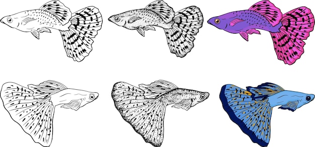Guppy-Fisch-Skizzensammlung Handgezeichneter Vektorfisch Seefluss oder Ozeanfisch