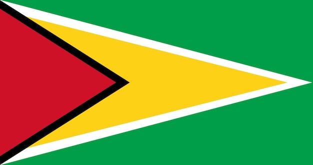 Guyana-flagge im vektor