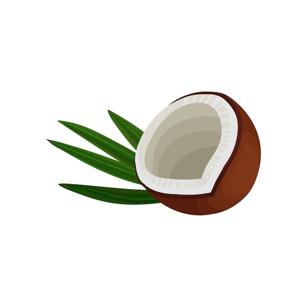 Hälfte der braunen kokosnuss und des grünen blattes tropisches essen flaches vektorelement für ökokosmetik-emblem oder shampoo-etikett