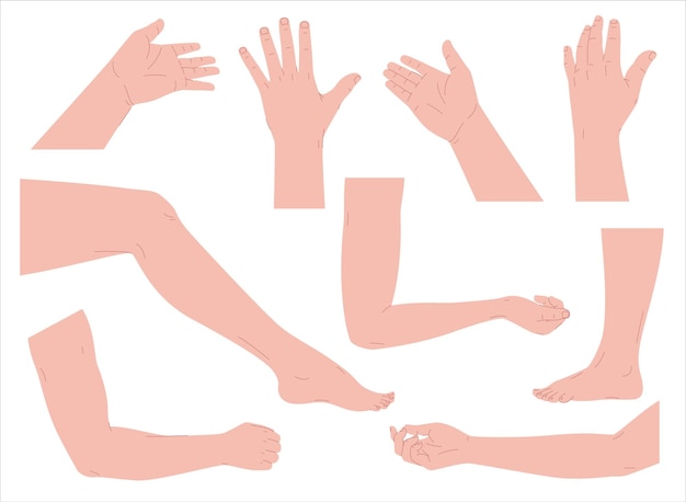 Hände und Füße in verschiedenen Posen Vektorillustration