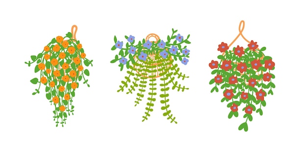 Hängender Korb mit Blumen Vektorillustration Hängepflanze