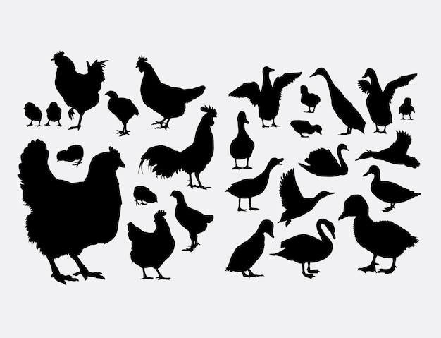 Vektor hahn huhn und ente tier silhouette