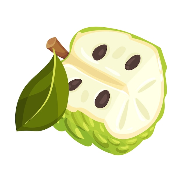Halbgeschnittene Soursop-Frucht oder Guanabana mit dunkelgrüner Rinde, bedeckt mit dicken Dornen