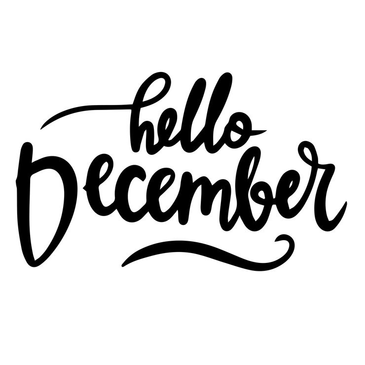 Vektor hallo dezember text banner handschrift text hallo dezember inschrift in schwarzer farbe handzeichnung