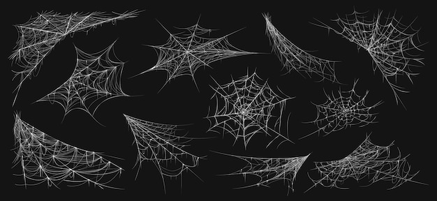 Halloween-Spinnennetz Realistisches Spinnennetz beängstigende dunkle Ecke isoliertes Netz gruseliges dekoratives Element Vektorillustration gruseliges hängendes gotisches Netz realistisches Design Spinnennetz