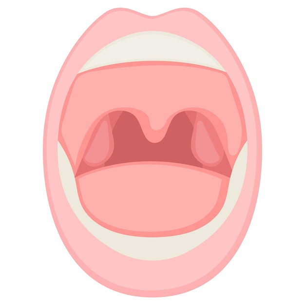 Hals und tonsillen vektordesign organsystem anatomie des menschen menschliche körperteile konzept des menschlichen mundes