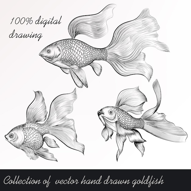 Hand gezeichnet goldfische set