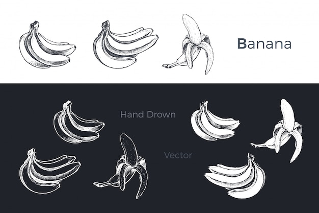 Hand gezeichnete bananen eingestellt