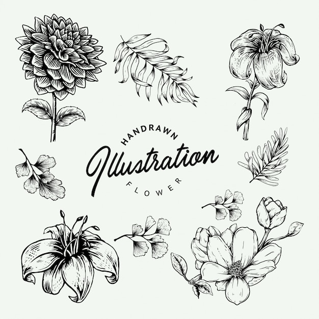Hand gezeichnete Blumen dekorative Elemente gesetzt