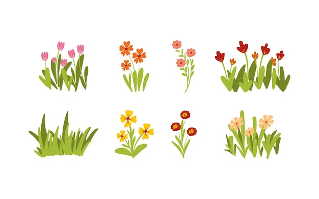 Hand gezeichnete Frühlingsblumensammlung Vektor-Illustration